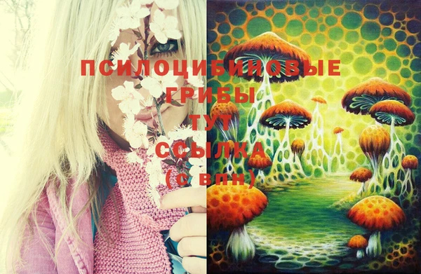 ECSTASY Нягань