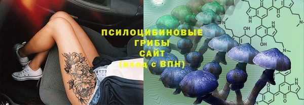 соль курить ск Няндома