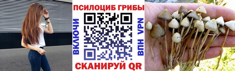 наркотики  shop как зайти  Галлюциногенные грибы мухоморы  Липецк 